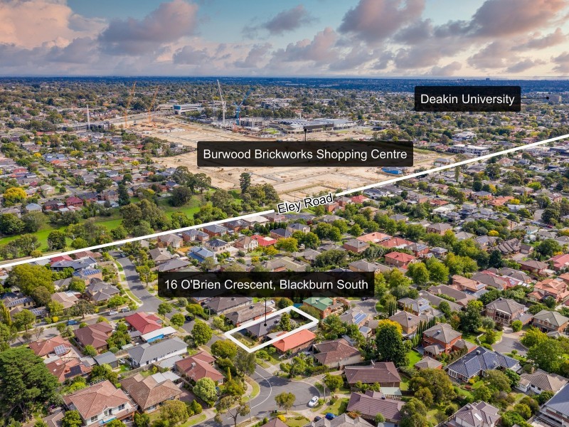 16 O’Brien Crescent, Blackburn South VIC 3130