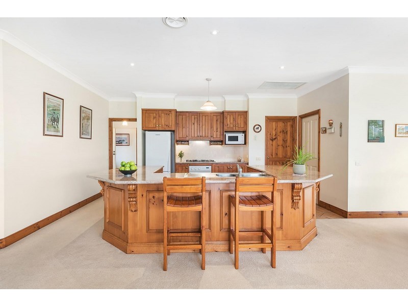 17 Burdekin Road, Highton VIC 3216