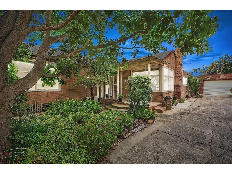 4 Hazel Street, Belmont VIC 3216