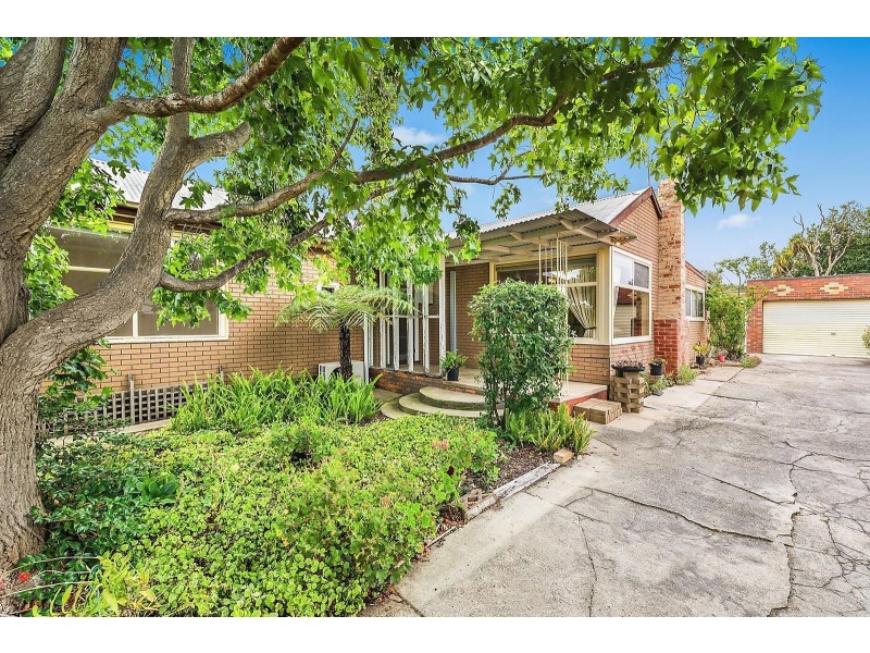 4 Hazel Street, Belmont VIC 3216