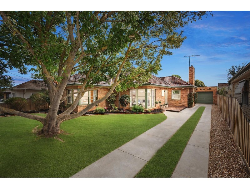 16 Panorama Road, Herne Hill VIC 3218