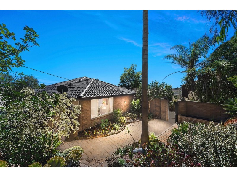 24 Victoria Terrace, Belmont VIC 3216