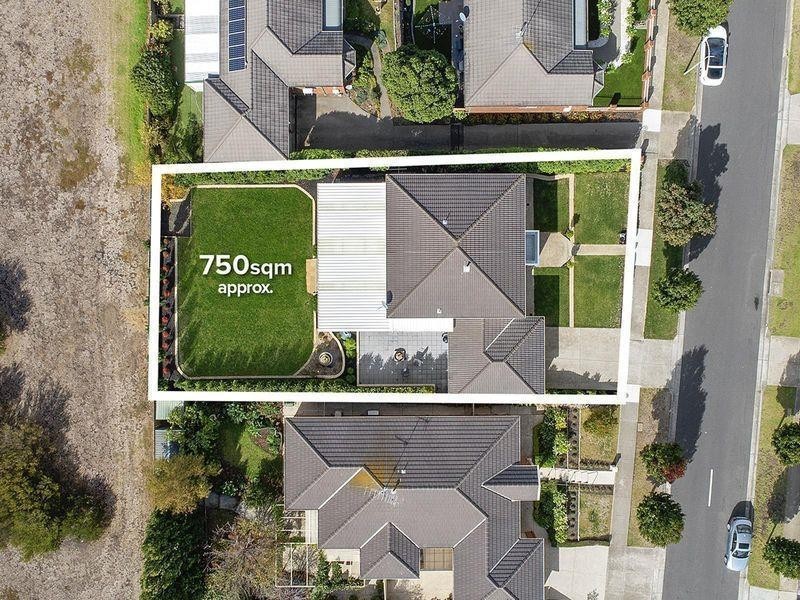 43 Augustine Drive, Highton VIC 3216