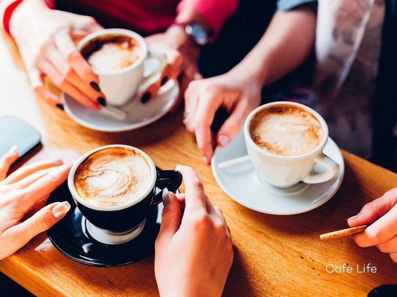 1-3/7 Toyne Avenue, Hamlyn Heights VIC 3215