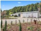 235 Whitcombes Road, Drysdale VIC 3222