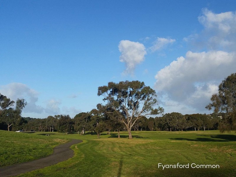 13 Brookes Street, Fyansford VIC 3221