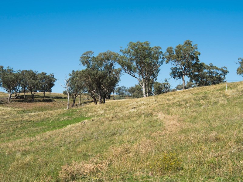 Lot 6 Lue Road, Mudgee NSW 2850