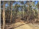 149 Suzanne Road, Mudgee NSW 2850