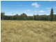 845 Ridge Road, Mudgee NSW 2850