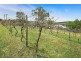 3 Windemere Road, Robin Hill NSW 2795