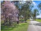 Lot 9, 206 Lesters Lane, Mudgee NSW 2850