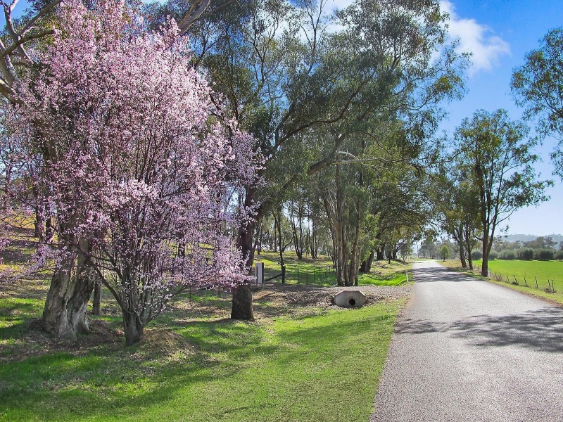 Lot 8, 206 Lesters Lane, Mudgee NSW 2850