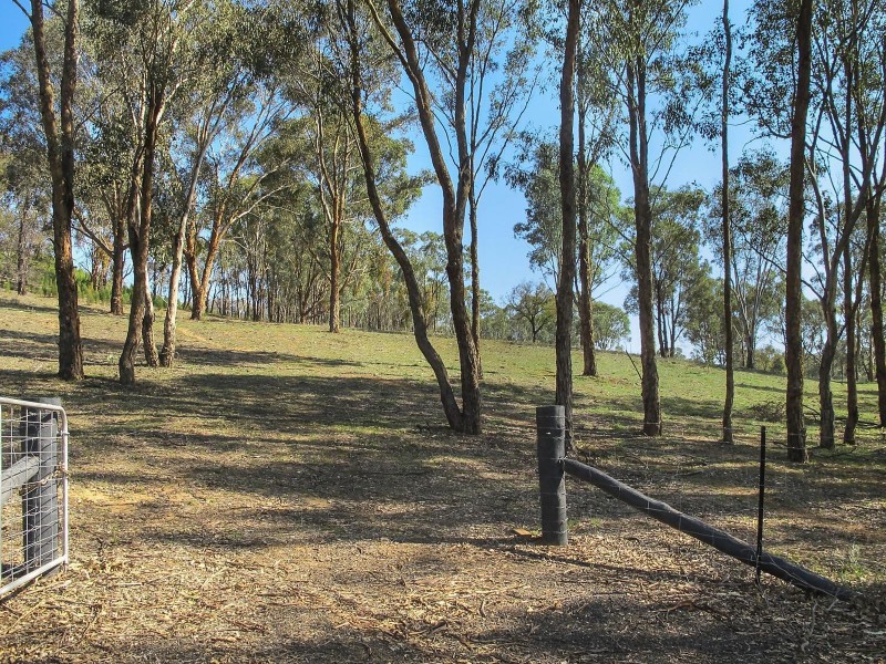 Lot 8, 206 Lesters Lane, Mudgee NSW 2850