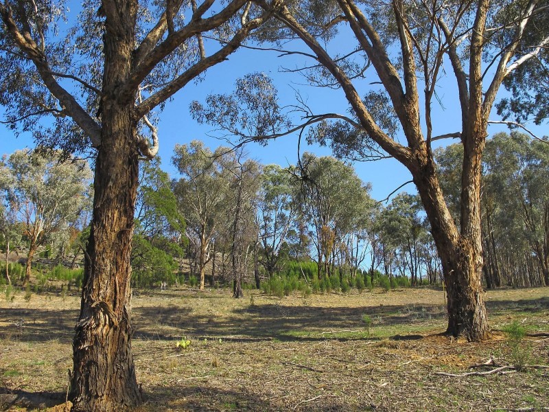 Lot 8, 206 Lesters Lane, Mudgee NSW 2850