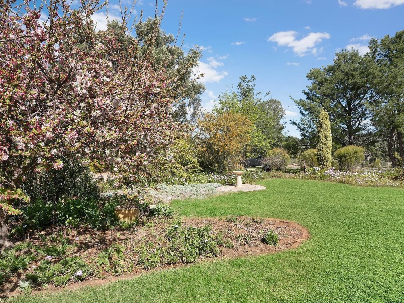 370 Castlereagh Highway, Gulgong NSW 2852