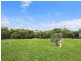 915 Blue Springs Road, Gulgong NSW 2852
