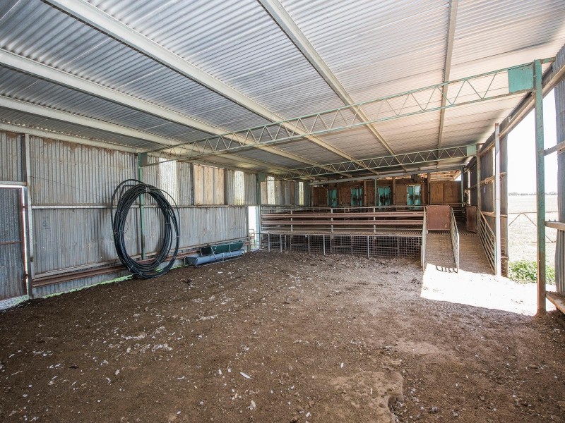 210 Old Mill Road, Gulgong NSW 2852