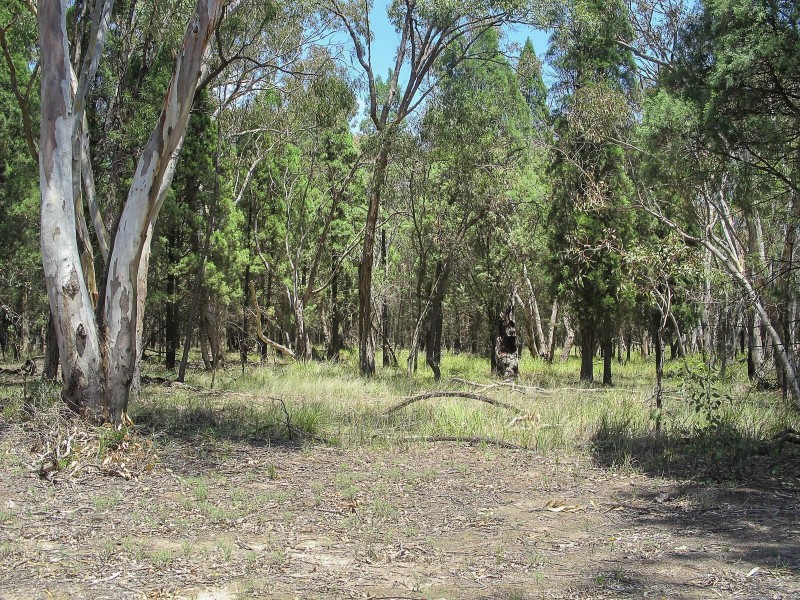 270 Cypress Drive, Mudgee NSW 2850