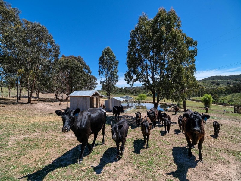 758 Pyramul Road, Mudgee NSW 2850