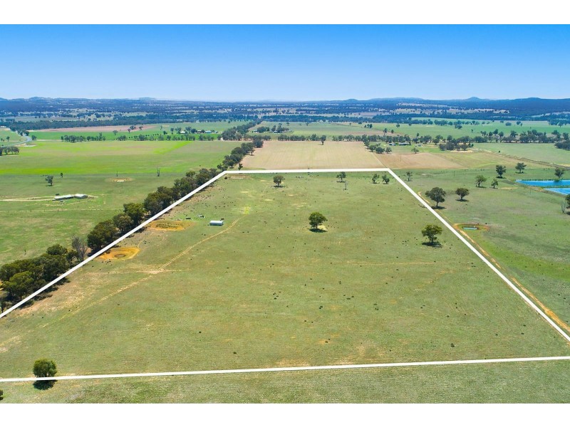 82 Nugget Lane, Gulgong NSW 2852