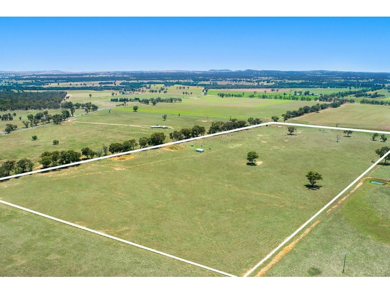 82 Nugget Lane, Gulgong NSW 2852