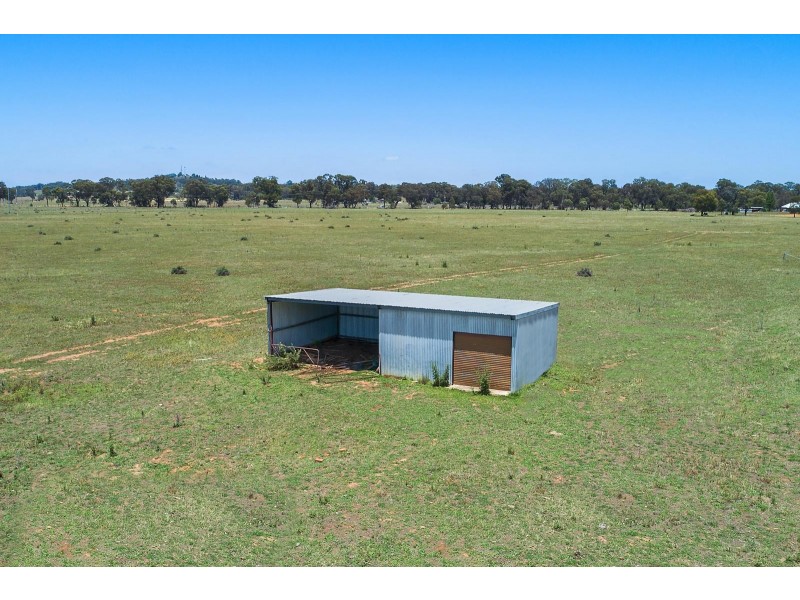 82 Nugget Lane, Gulgong NSW 2852
