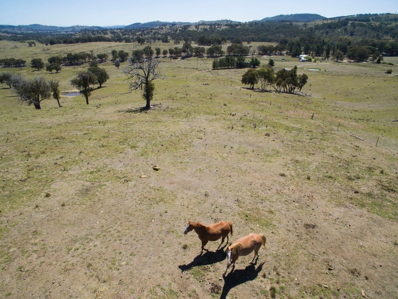 1379 Pyramul Road, Mudgee NSW 2850