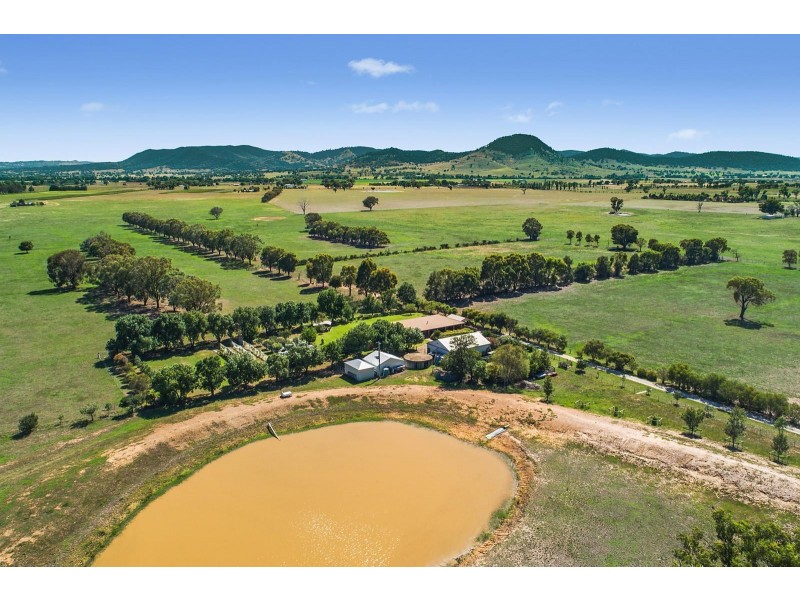 345 Spring Flat Road, Mudgee NSW 2850