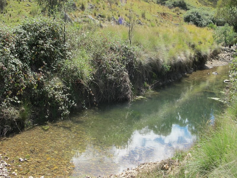 1565 Campbell Creek Road, Mudgee NSW 2850