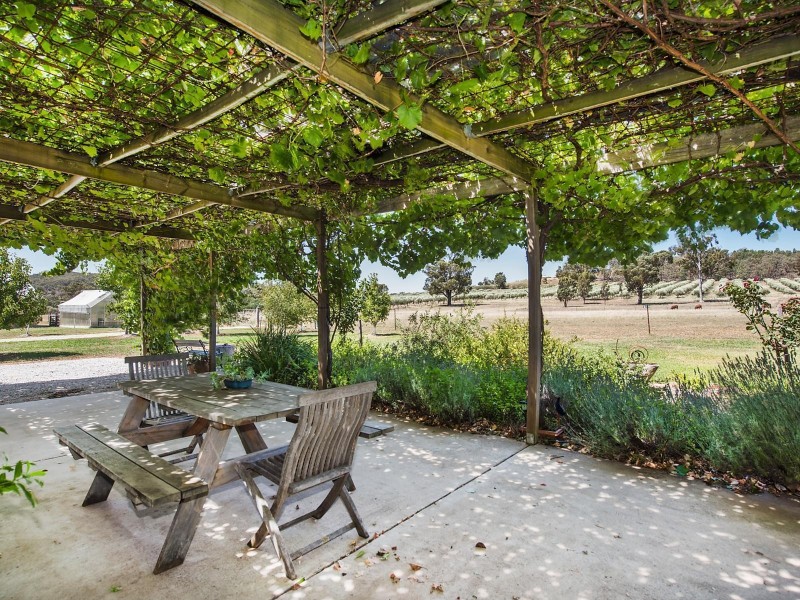 408 Botobolar Road, Mudgee NSW 2850