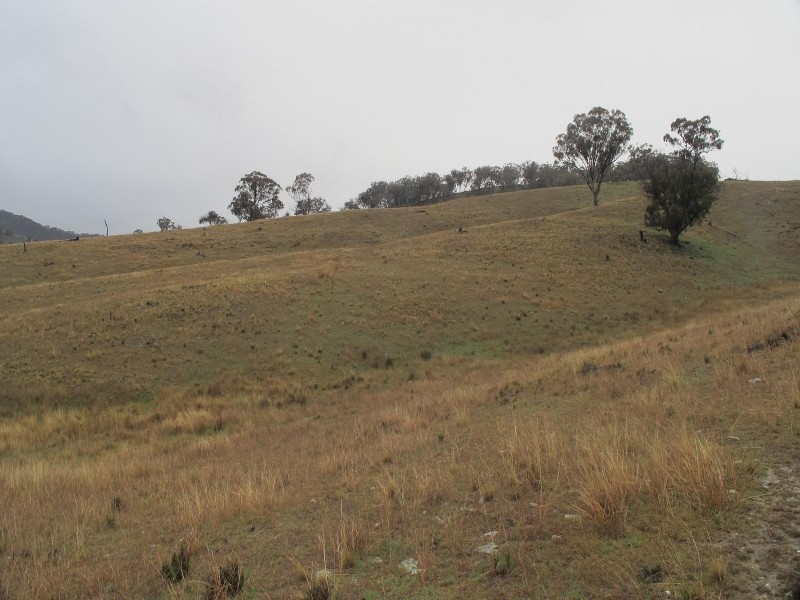 121 Sorata Lane, Windeyer NSW 2850