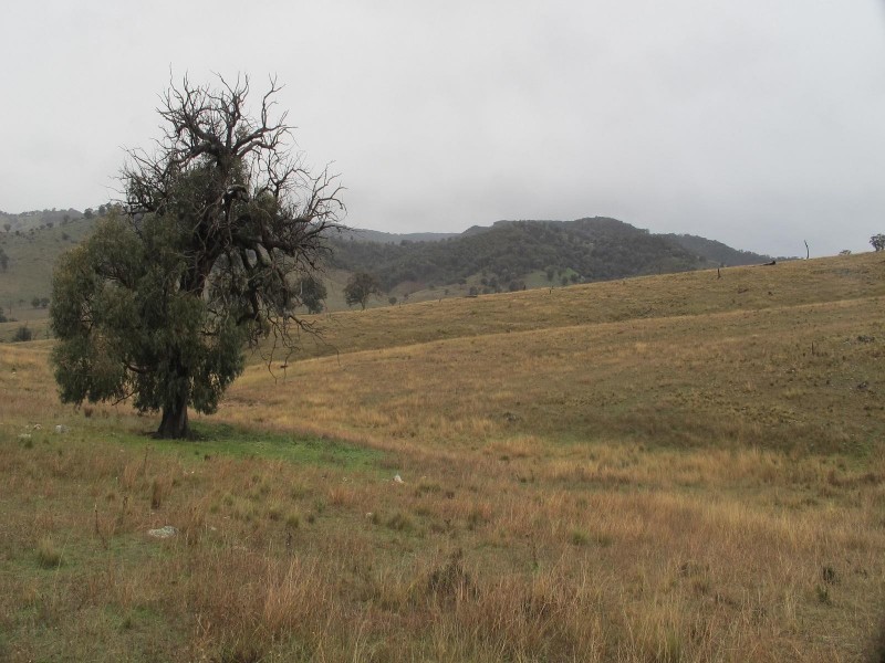 121 Sorata Lane, Windeyer NSW 2850