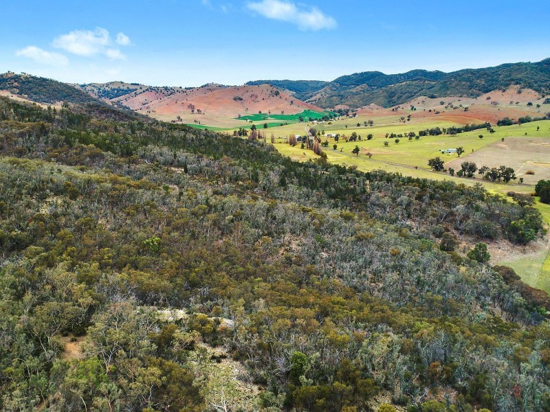 Mudgee NSW 2850