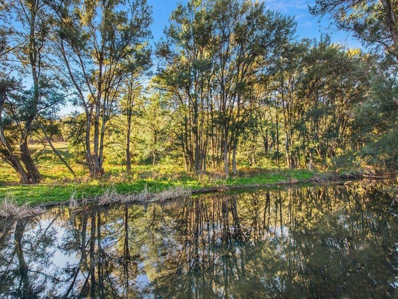 15 Riverlea Road, Mudgee NSW 2850