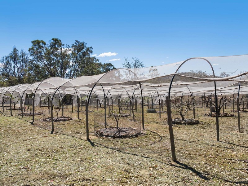 333 Kains Flat Road, Kains Flat NSW 2850