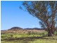 470 Castlereagh Highway, Mudgee NSW 2850