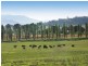 470 Castlereagh Highway, Mudgee NSW 2850