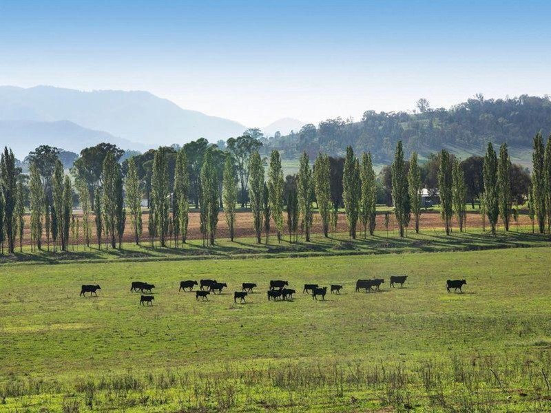 470 Castlereagh Highway, Mudgee NSW 2850