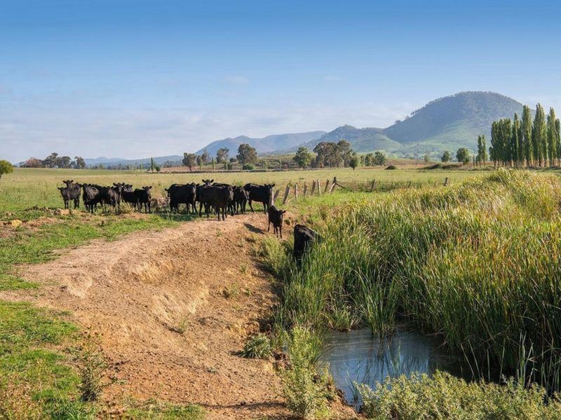 470 Castlereagh Highway, Mudgee NSW 2850