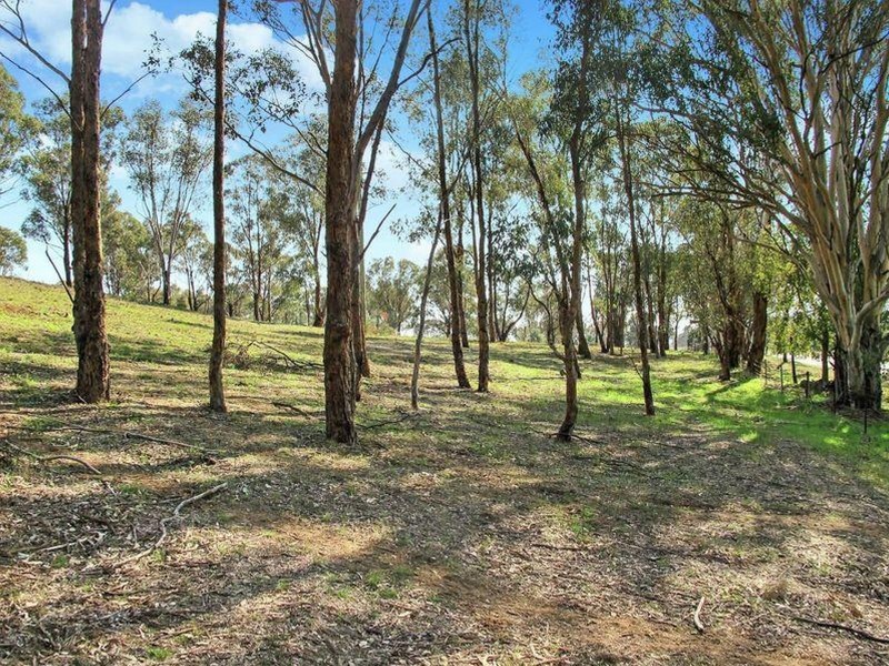 Lot 9, 206 Lesters Lane, Mudgee NSW 2850