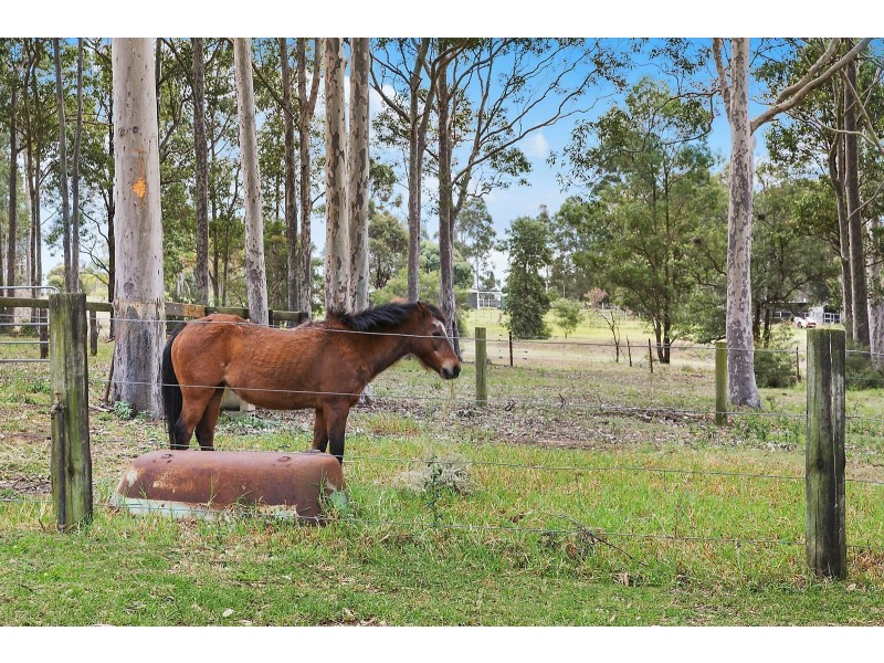 282 Sawyers Gully Road, Sawyers Gully NSW 2326