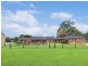 80 Canoona Avenue, Windsor Downs NSW 2756