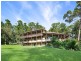 370 Martells Road, Bellingen NSW 2454