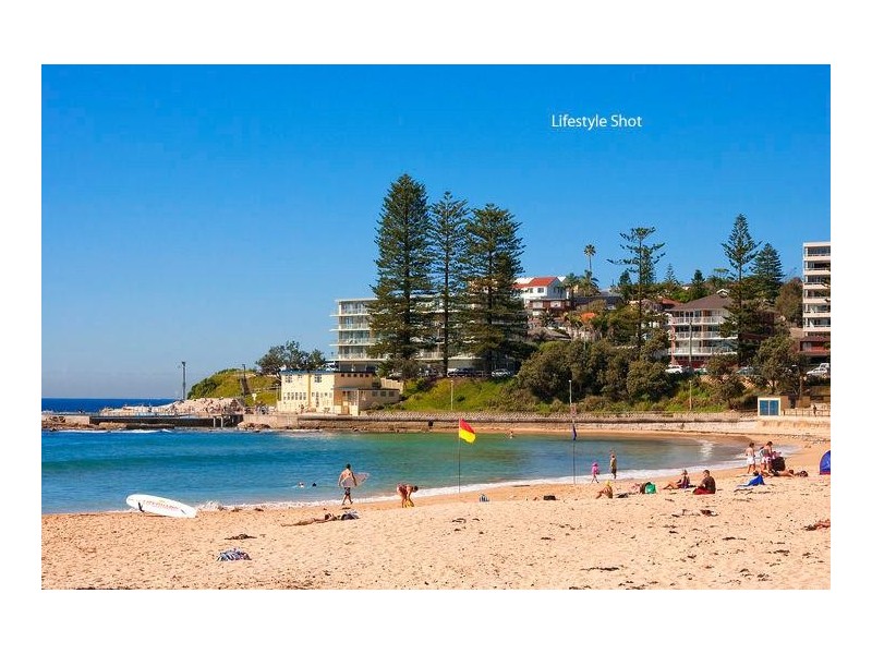589 Pittwater Road, Dee Why NSW 2099