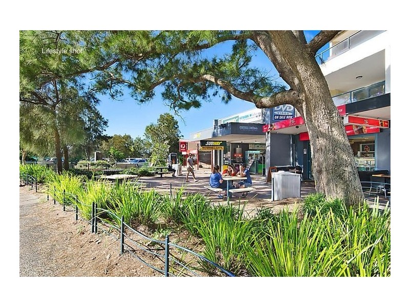 14 Waterloo Street, Narrabeen NSW 2101