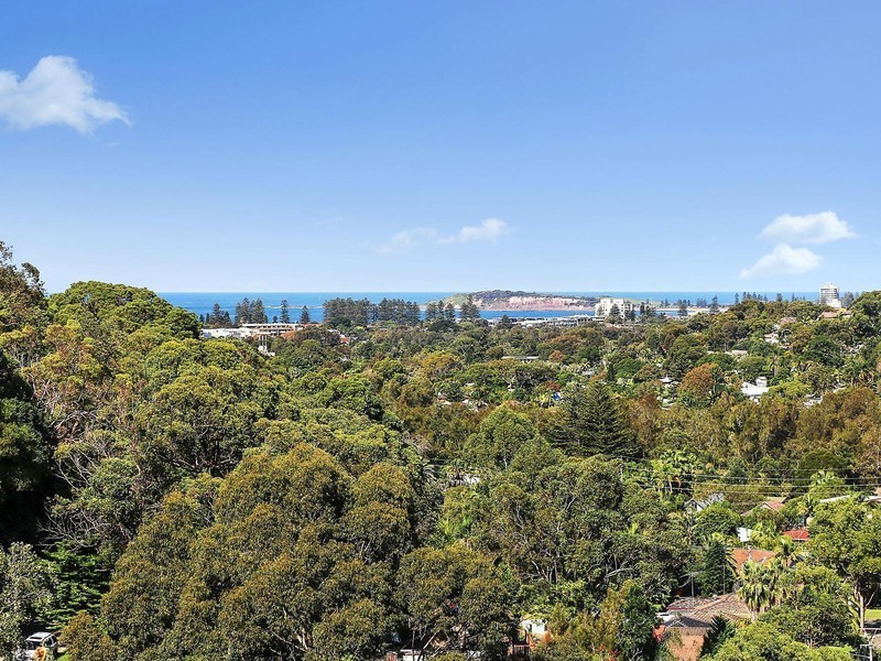 19 Cooleena Road, Elanora Heights NSW 2101