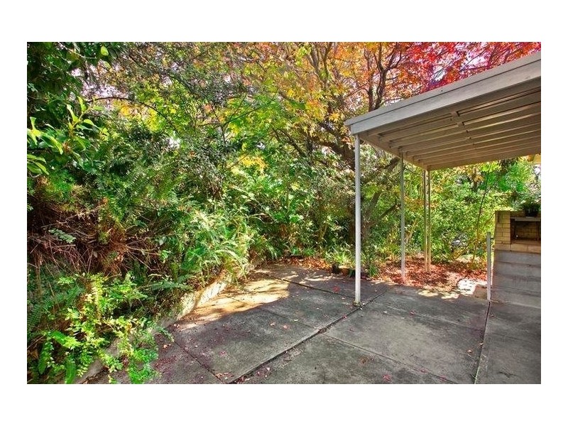 24 Redman Road, Dee Why NSW 2099