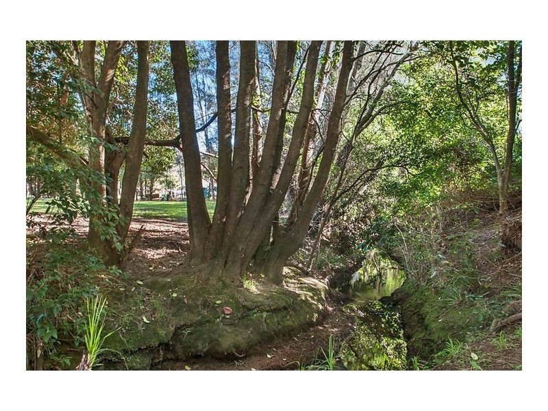 51 Burton Road, Mount Hutton NSW 2290