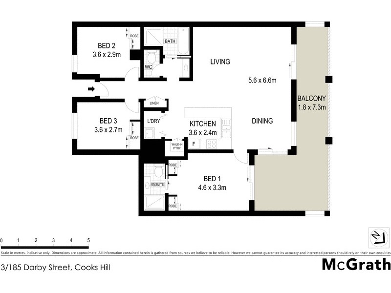 103/185 Darby Street, Cooks Hill NSW 2300 Floorplan
