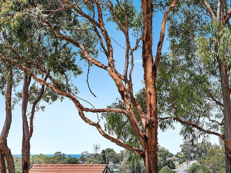 1/27 Honeyeater Place, Tingira Heights NSW 2290